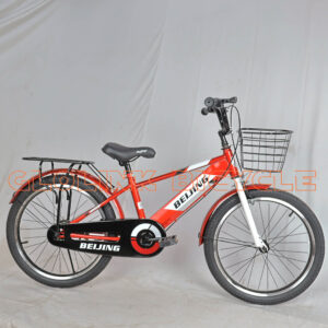 Beijing Diamond Size 20 Kids Bike with Rear Carrier & Front Basket